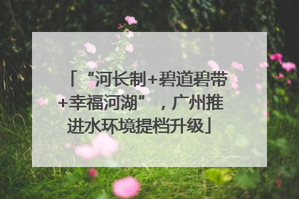 “河长制+碧道碧带+幸福河湖”，广州推进水环境提档升级